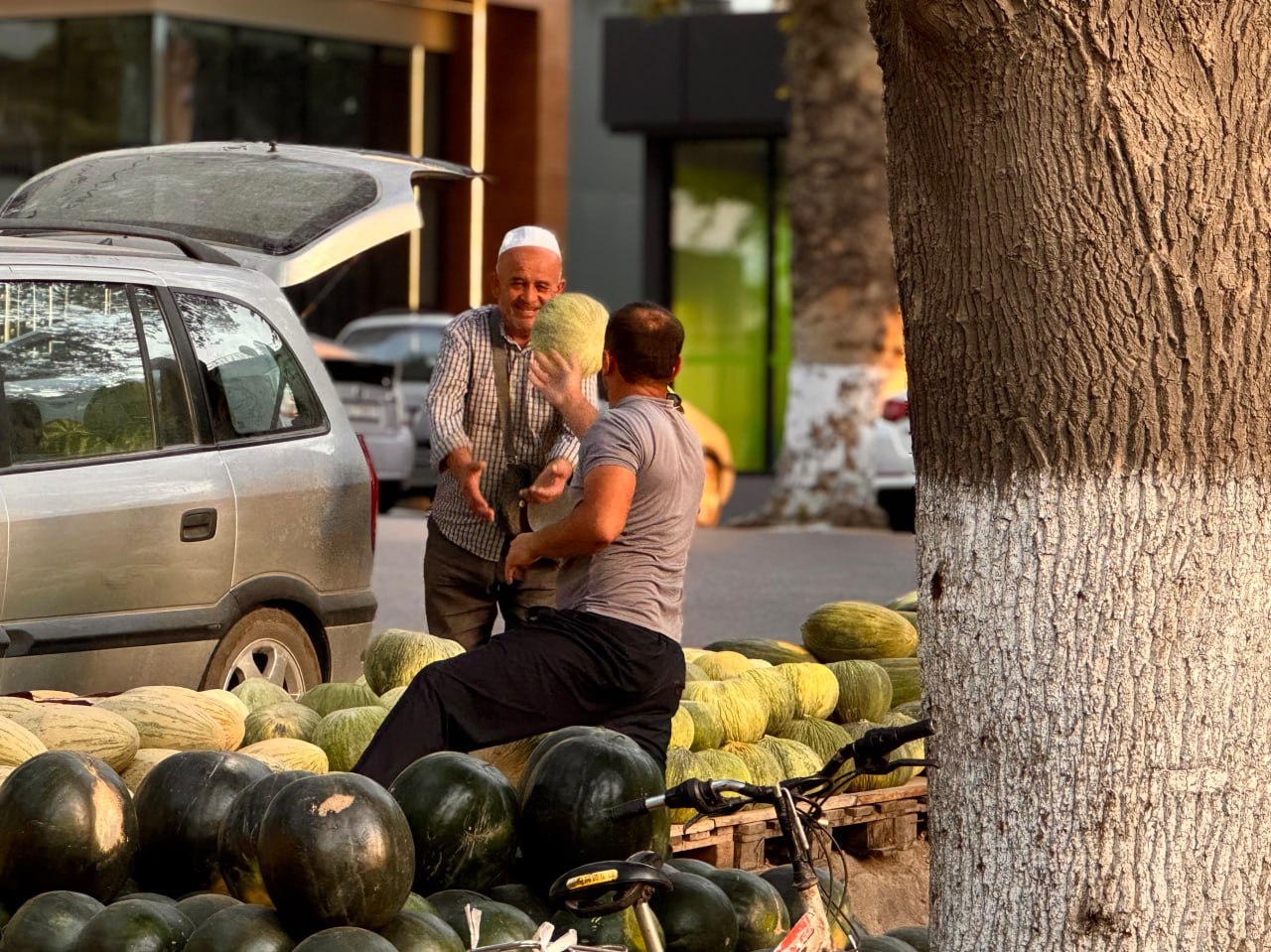 photo_2025-11-09_12-47-03