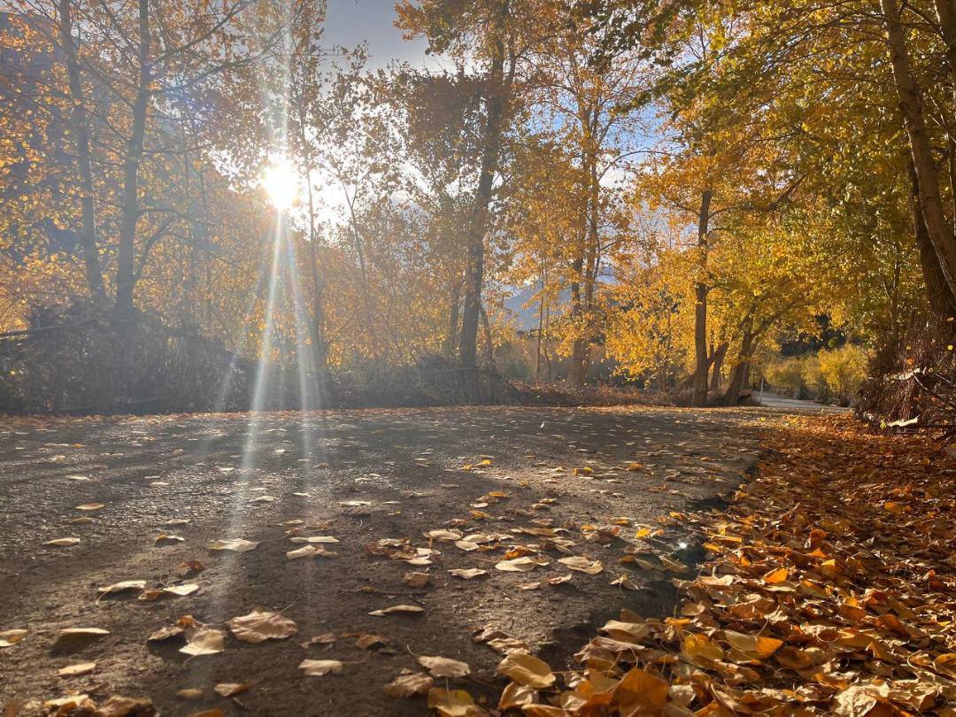 photo_2025-11-12_15-57-53