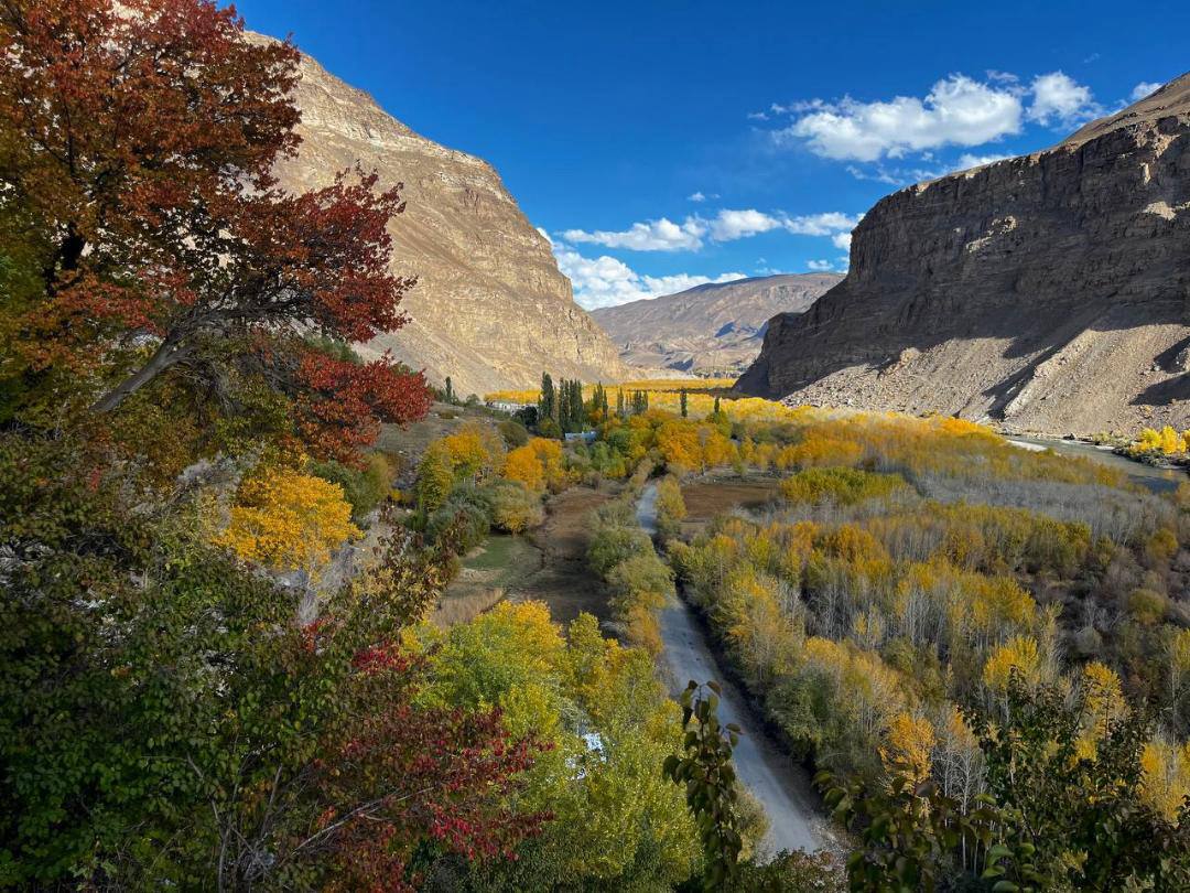 photo_2025-11-12_16-15-56