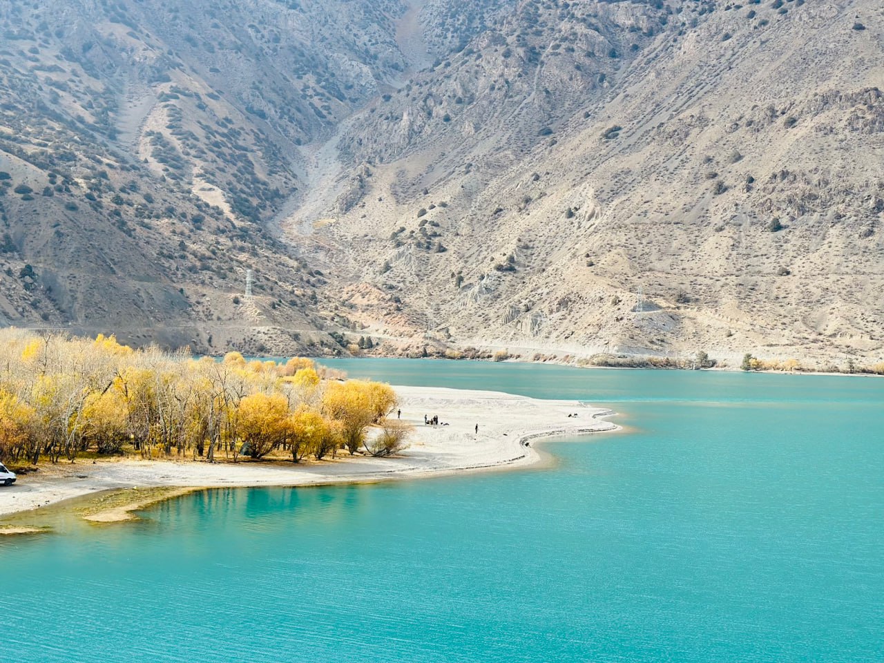 photo_2025-11-13_16-05-35