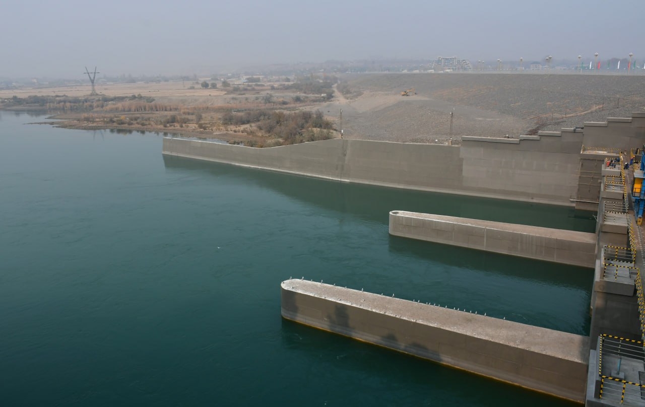 photo_2025-11-20_16-22-49