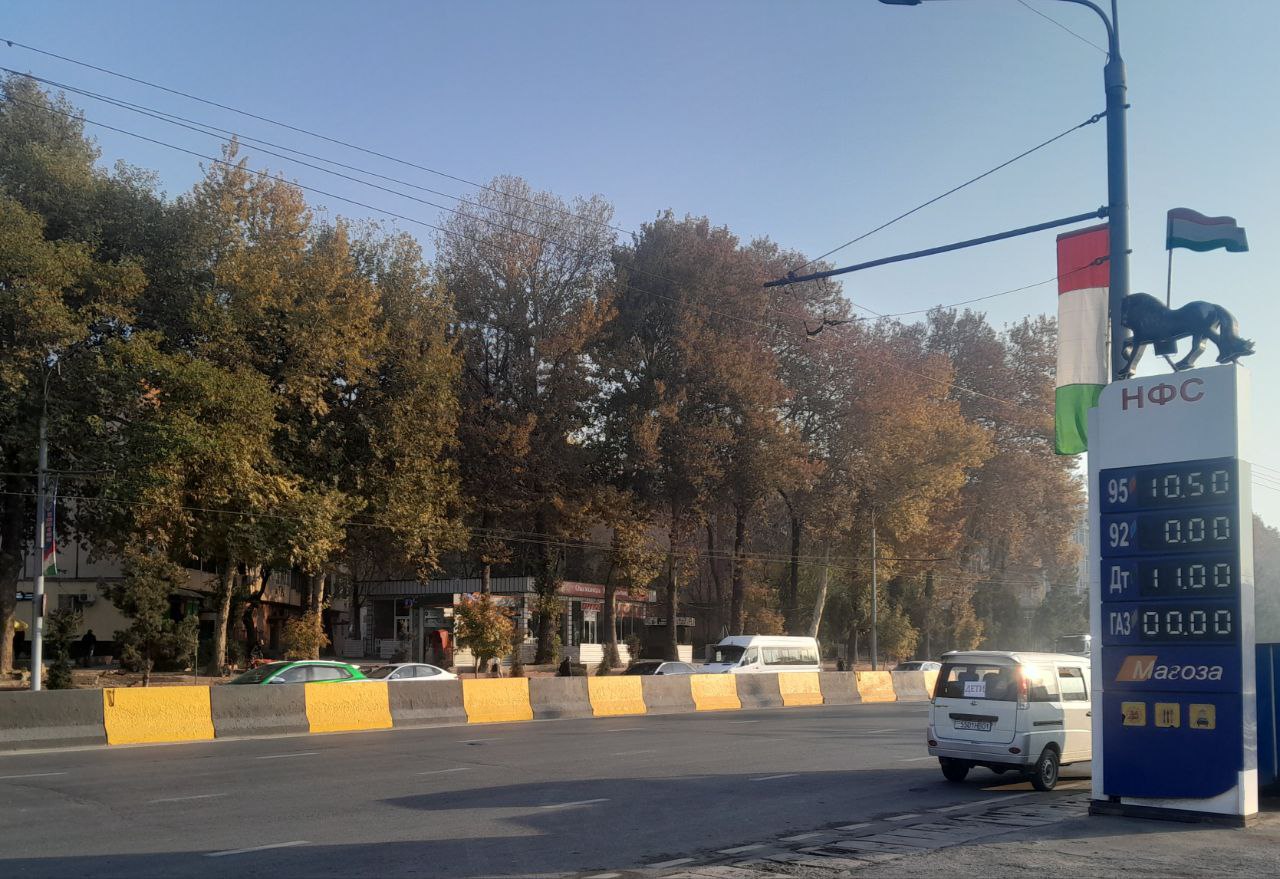 photo_2025-11-21_10-38-38