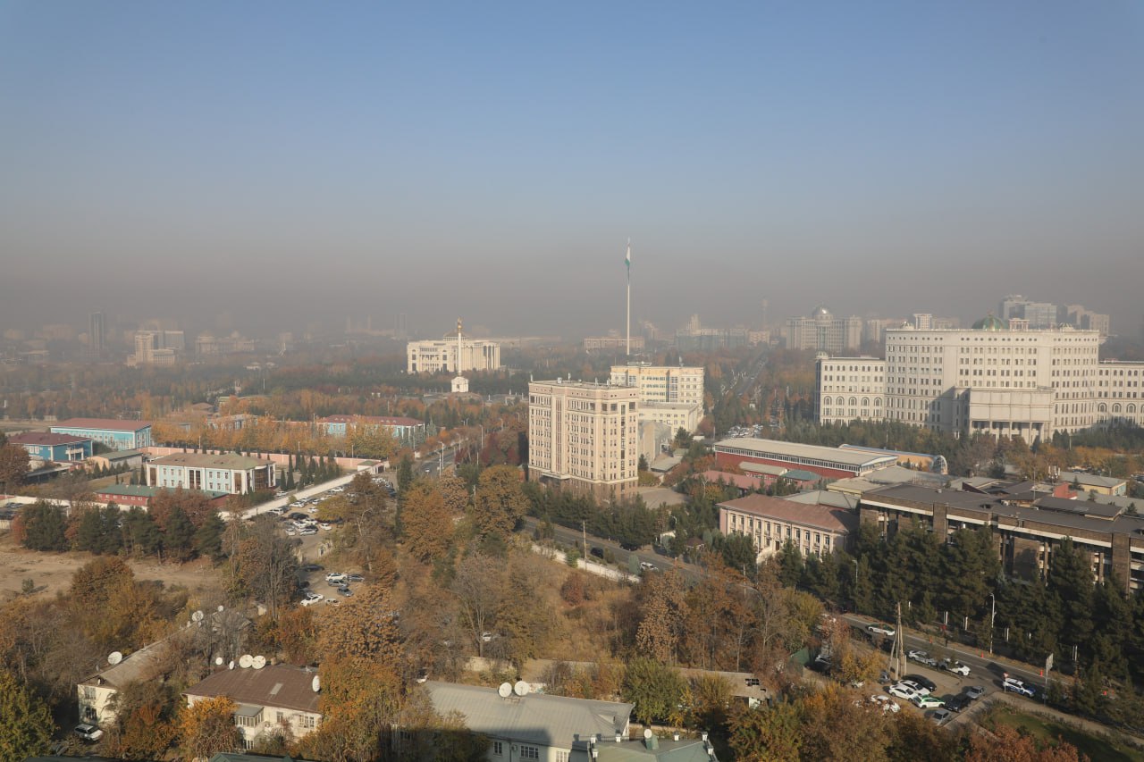 photo_2025-11-21_13-05-49