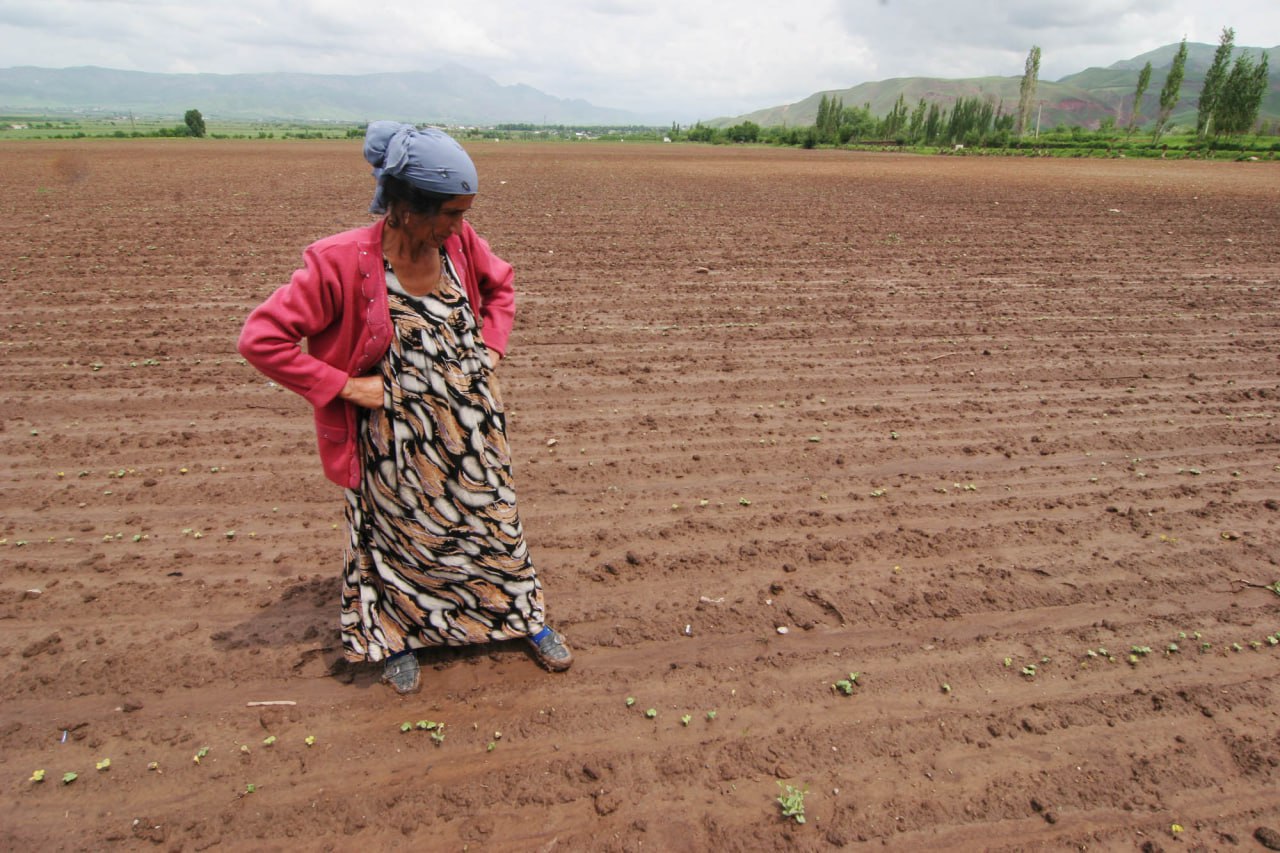 photo_2025-11-24_12-03-45