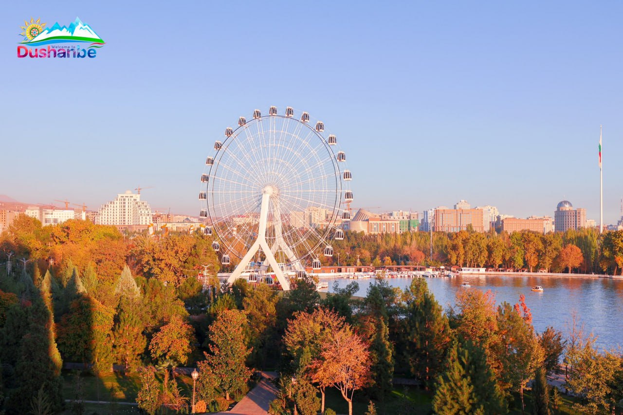 photo_2025-11-27_15-05-19