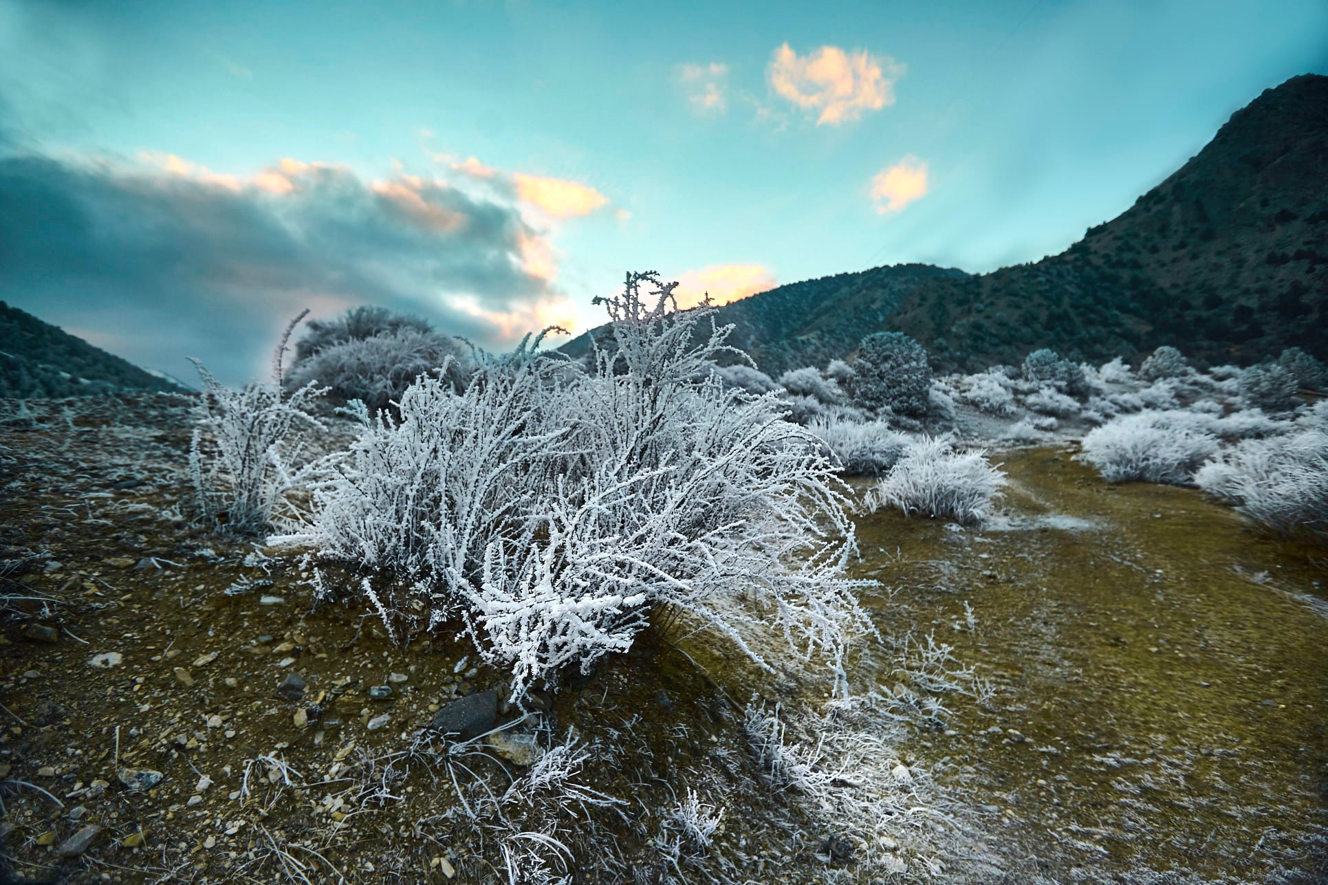 474591640_2961462157336071_7902510973314479884_n