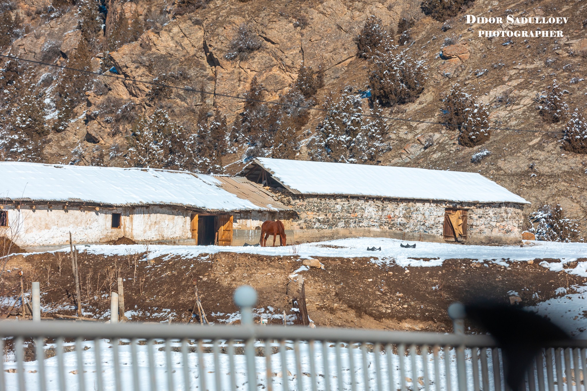 512355503_9937361966392583_3726495483662081228_n