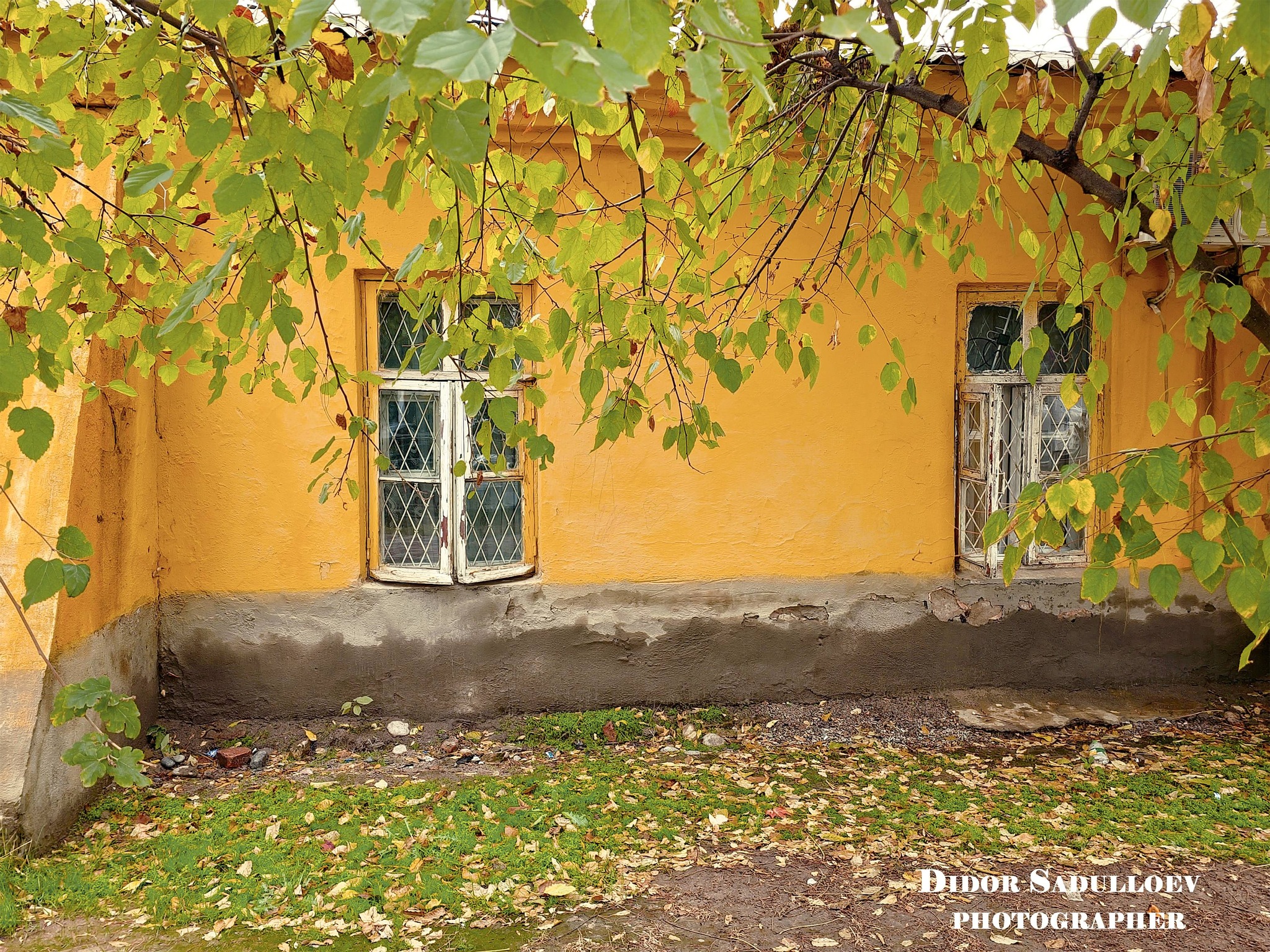 596967763_25102213256147540_7669705485525468039_n