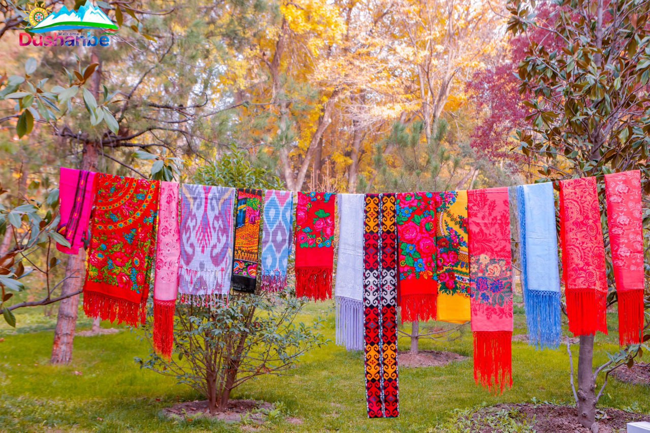 photo_2025-12-01_16-47-52