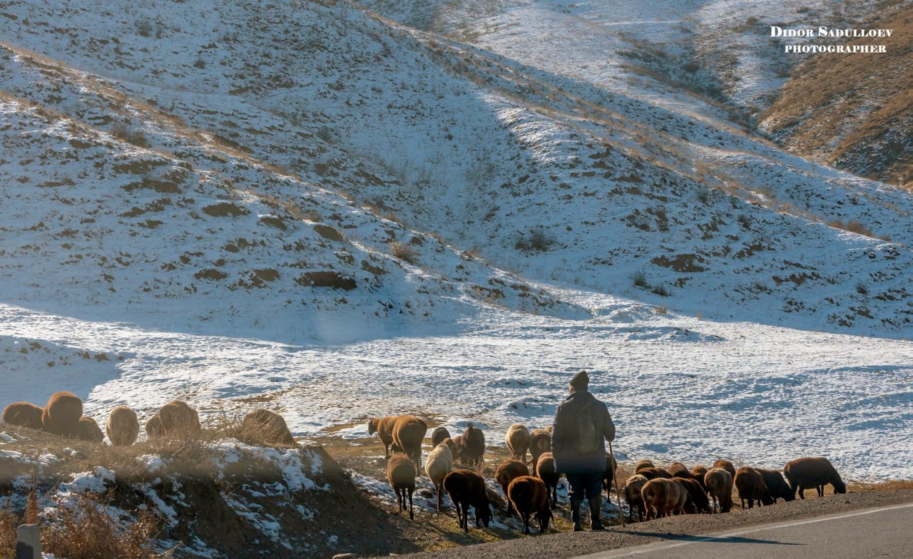 photo_2025-12-03_17-58-51