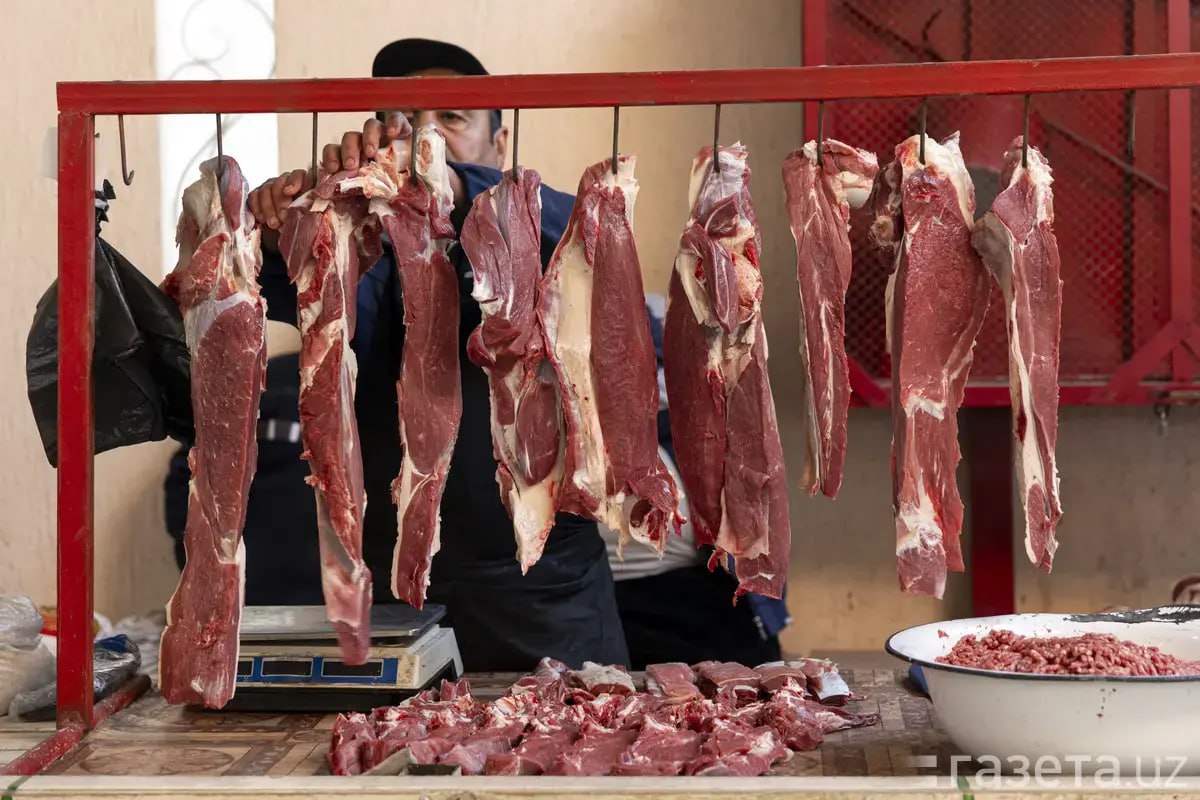 photo_2025-12-05_11-06-20