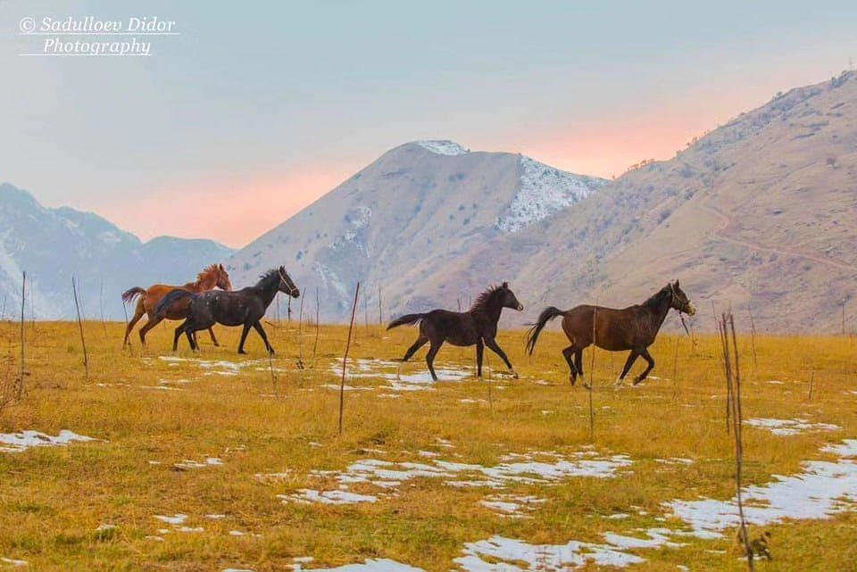 photo_2025-12-05_18-06-25