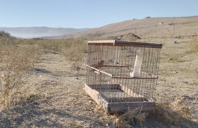 photo_2025-12-08_10-01-20