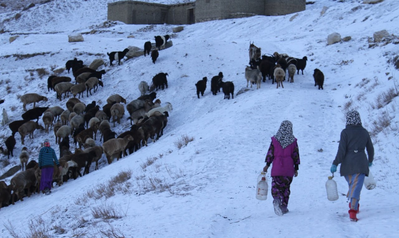 photo_2025-12-09_17-04-15