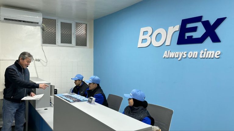 Всё в одной точке: в Таджикистане тестируется первый национальный мультисервисный хаб доставки BorEx