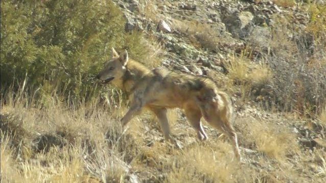 photo_2025-12-17_14-08-08