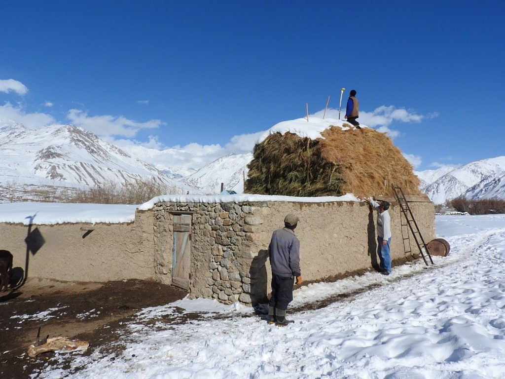 photo_2025-12-17_17-02-47