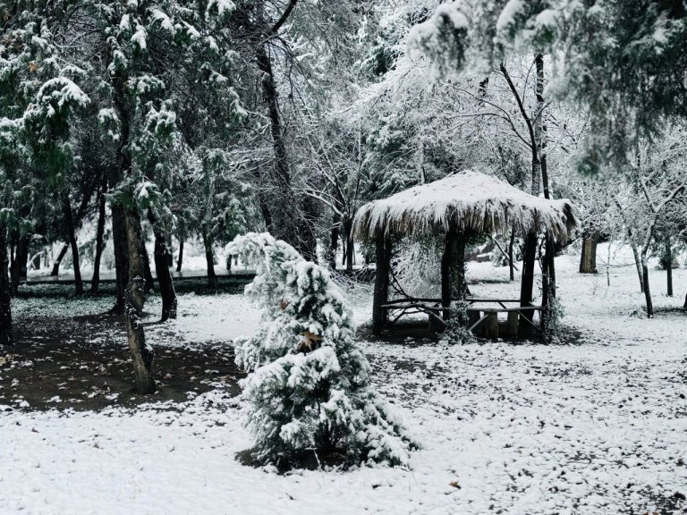 photo_2025-12-19_18-07-26