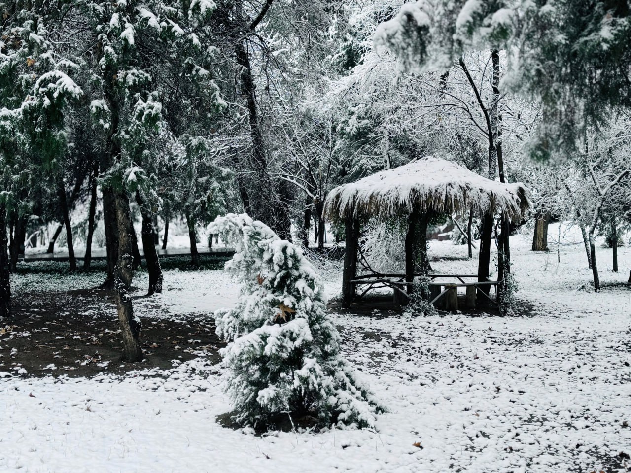 photo_2025-12-19_18-07-26