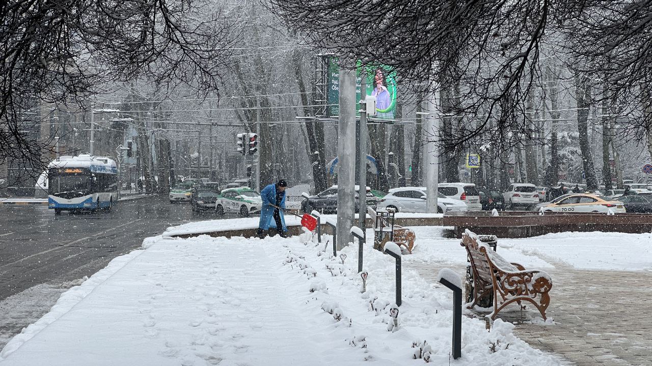 photo_2025-12-20_10-44-31