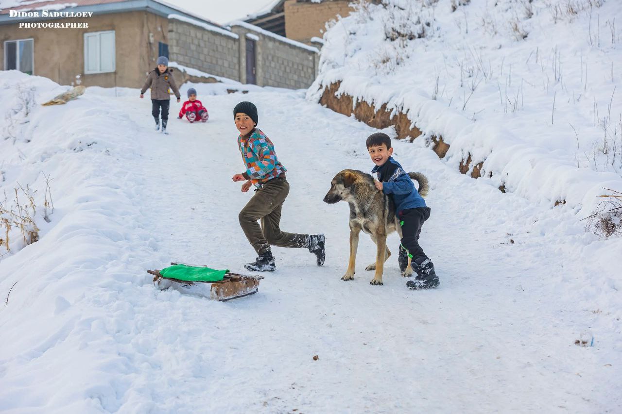 photo_2025-12-20_19-33-38