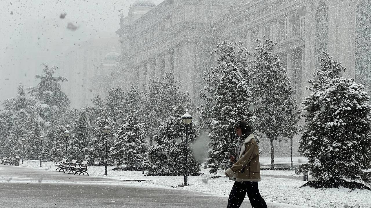 photo_2025-12-22_11-16-06