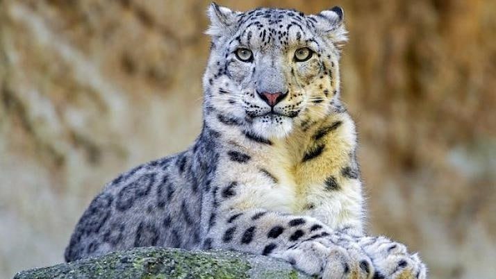 photo_2025-12-25_12-25-28