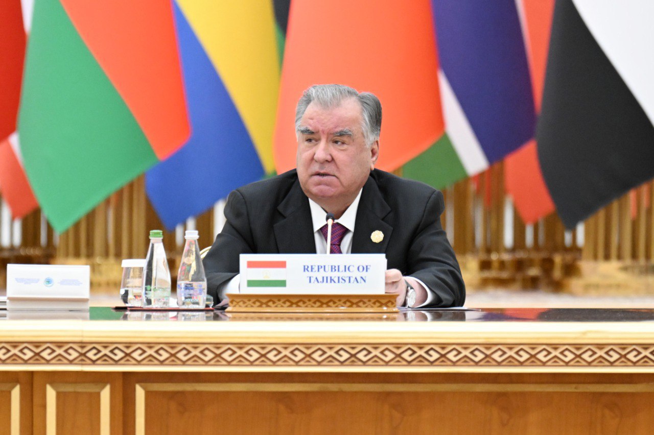 photo_5_2025-12-12_16-03-04