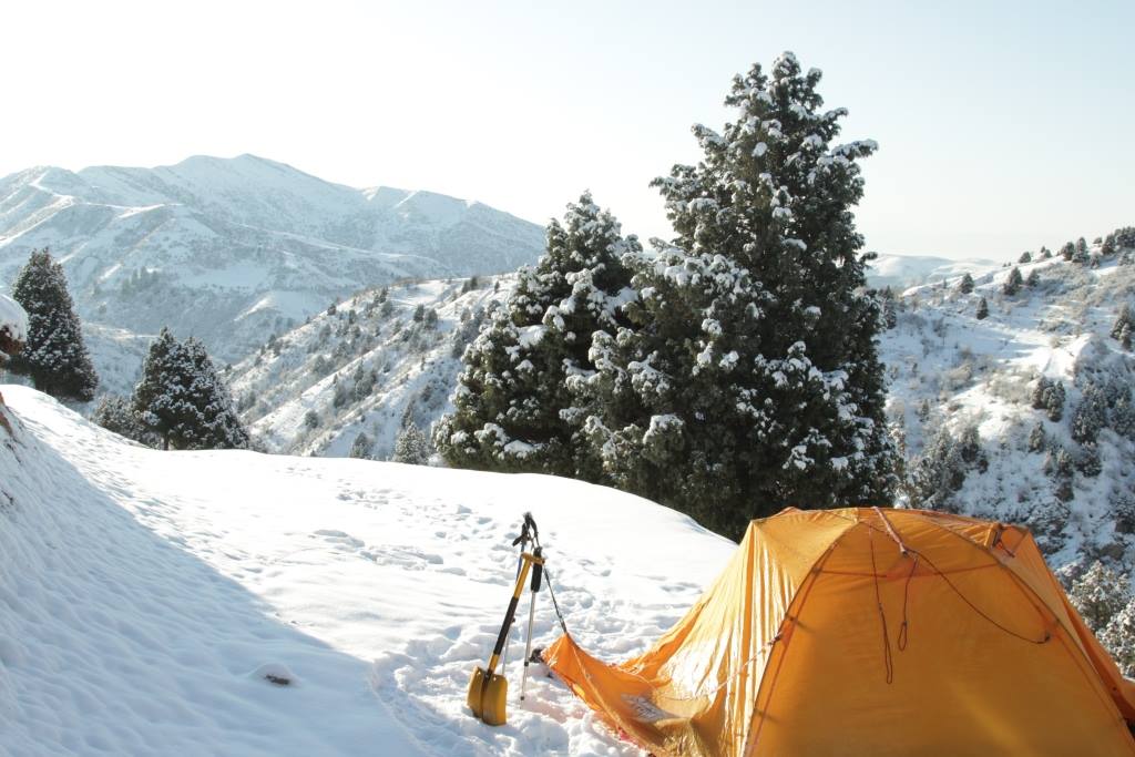 49261886_1229744620483491_1676233630055137280_n