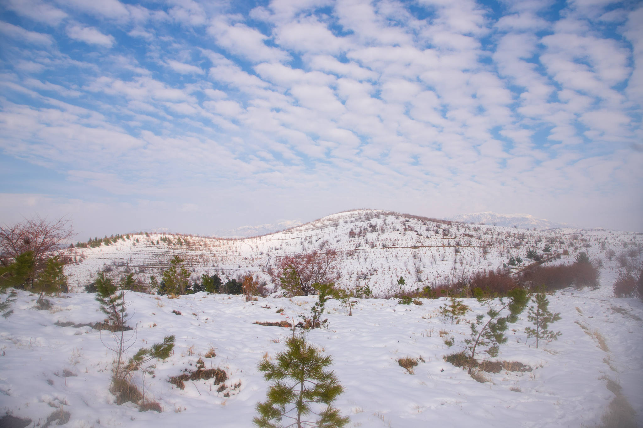 608911686_25445377548417161_2328593936056575139_n