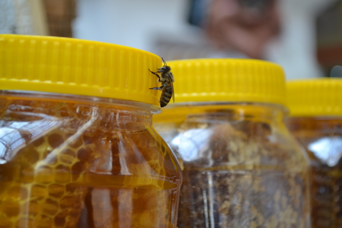 Мед главная