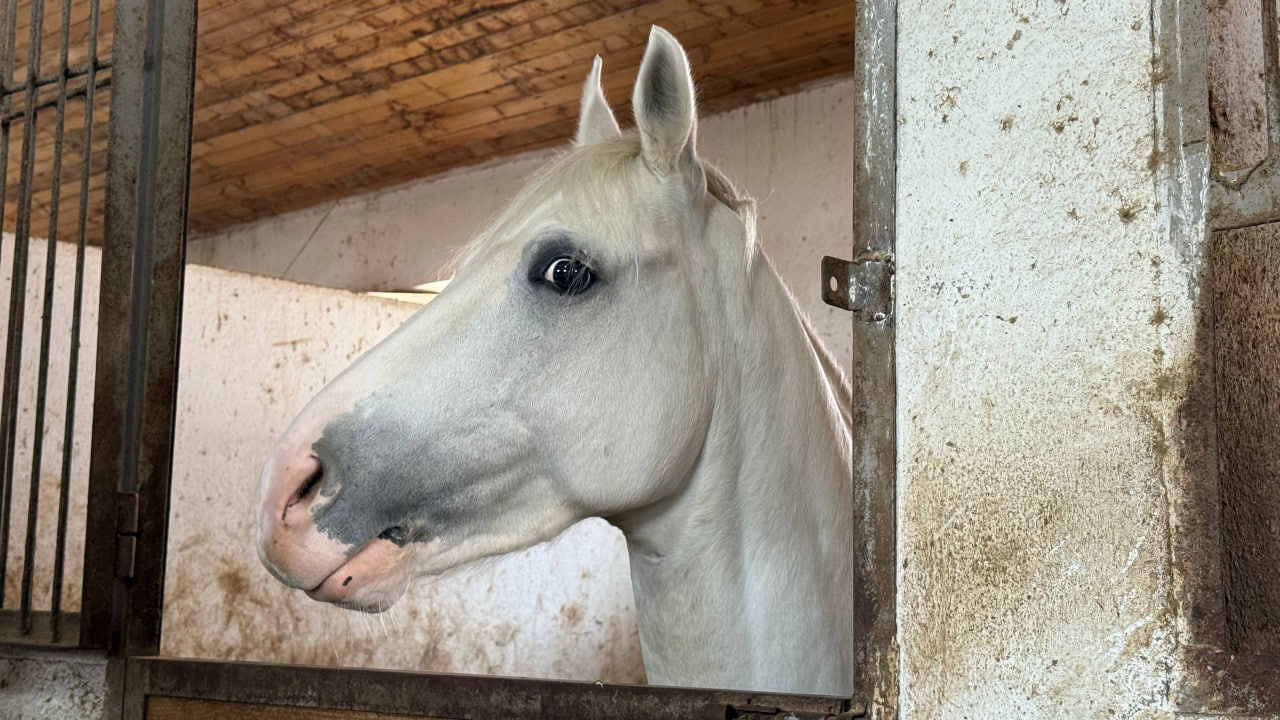 photo_2026-01-06_11-23-45