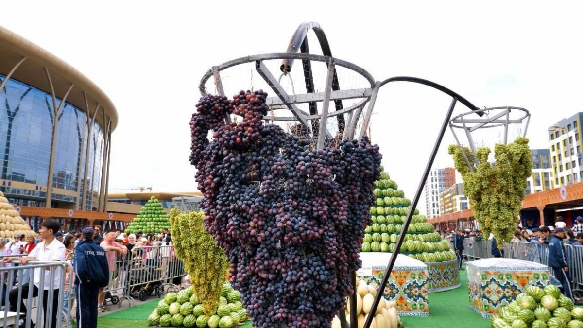 photo_2026-01-12_10-07-58