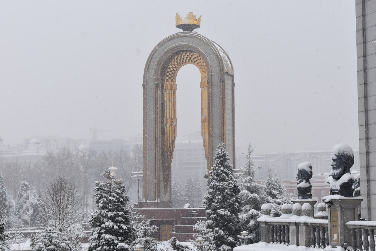 photo_2026-01-14_17-21-02