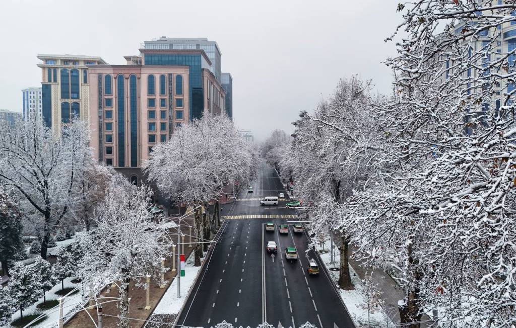 photo_2026-01-16_07-41-04