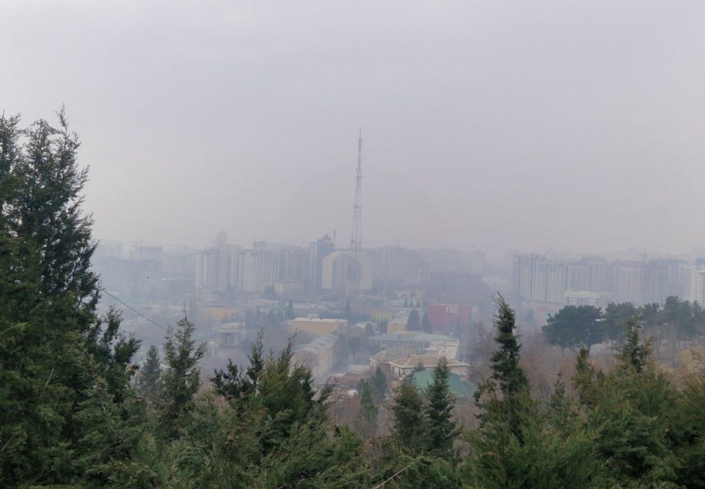 photo_2026-01-16_11-30-17