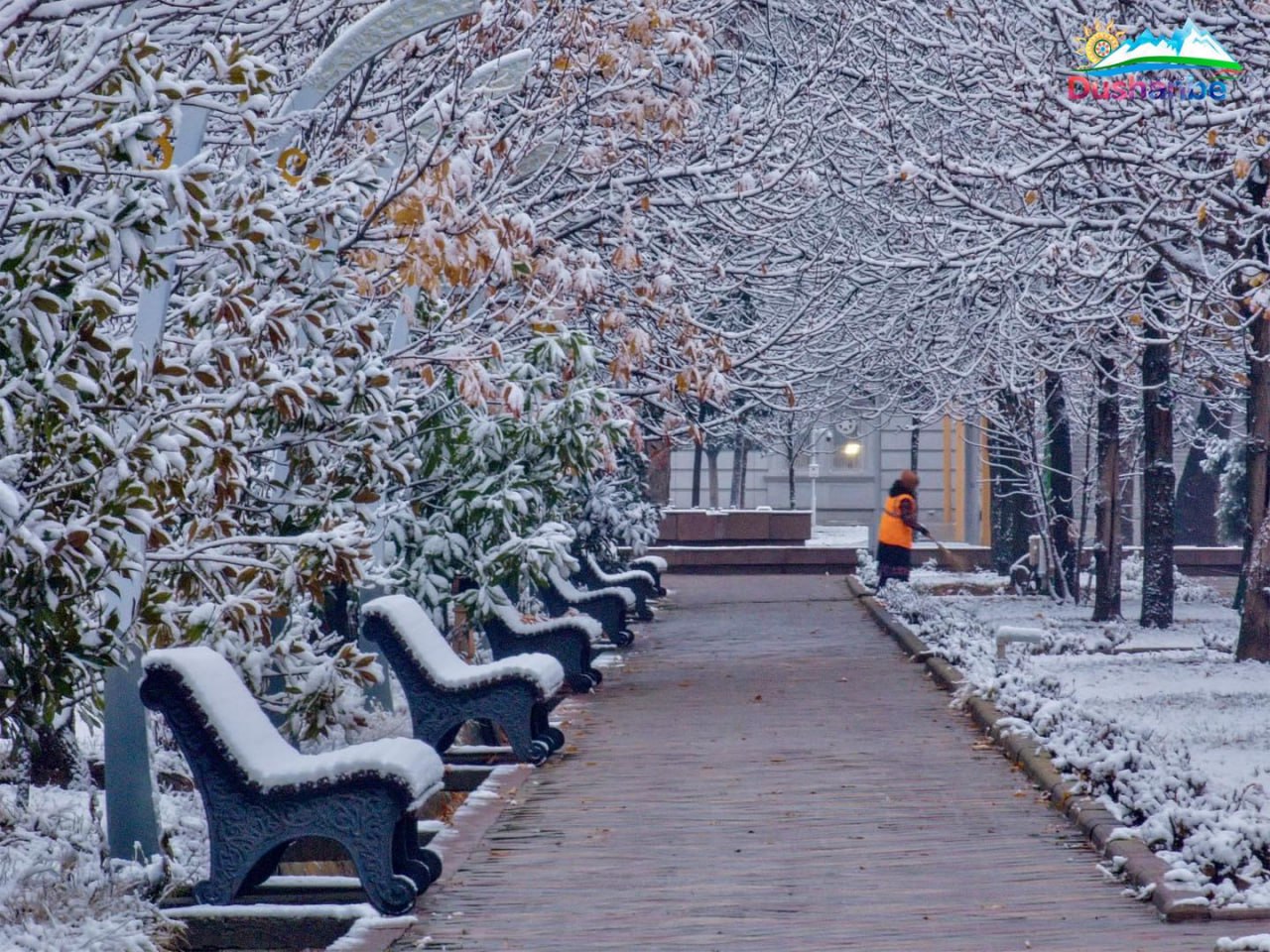 photo_2026-01-16_20-29-36