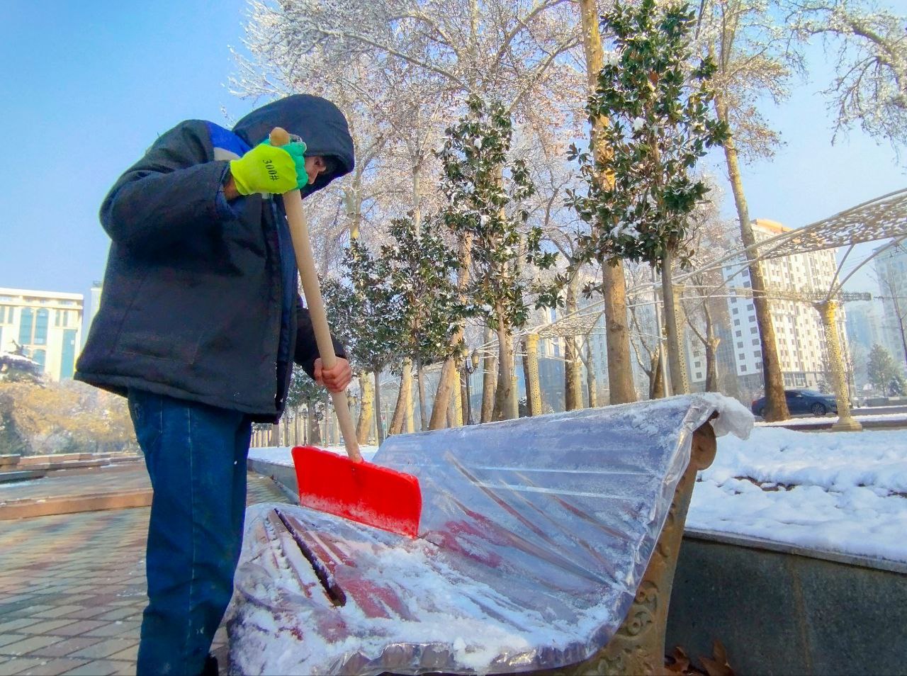 photo_2026-01-18_12-33-17