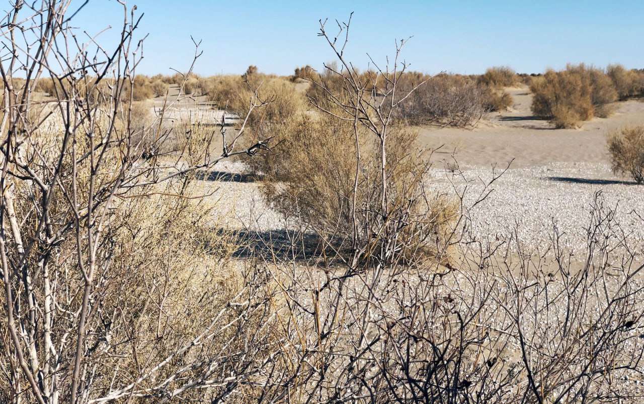 photo_2026-01-20_07-46-36