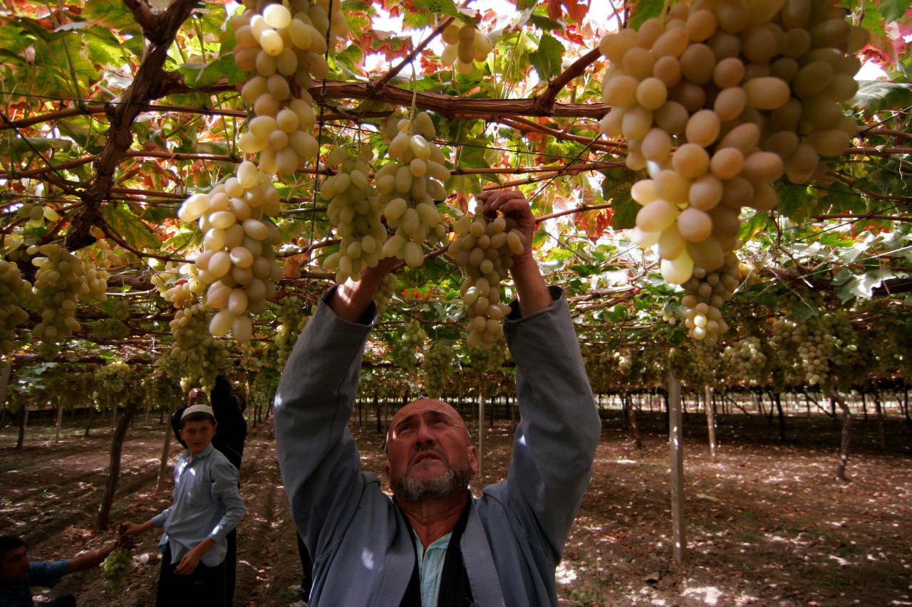 photo_2026-01-21_16-38-21