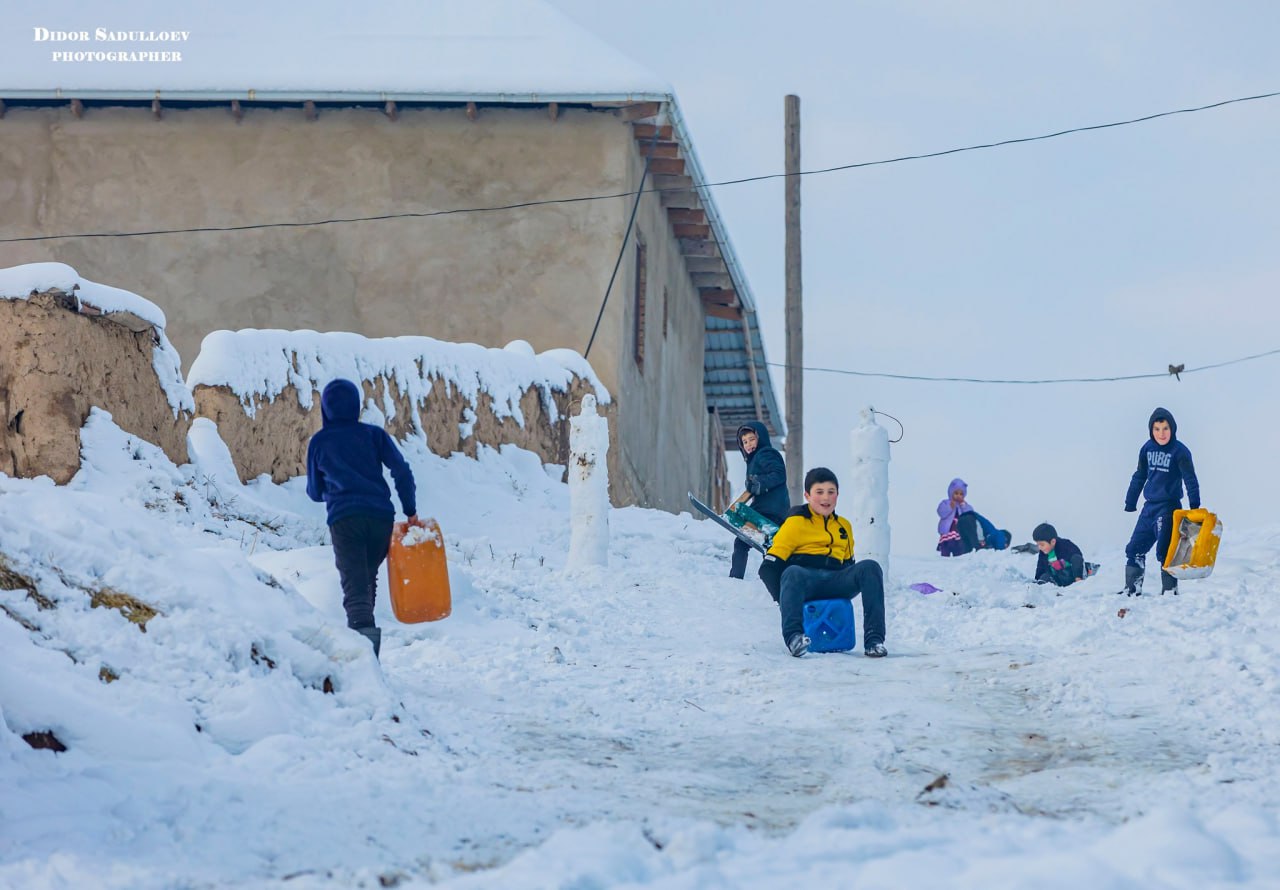 photo_2026-01-21_17-46-34