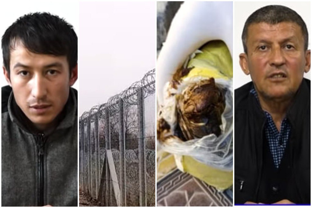 photo_2026-01-22_11-33-14