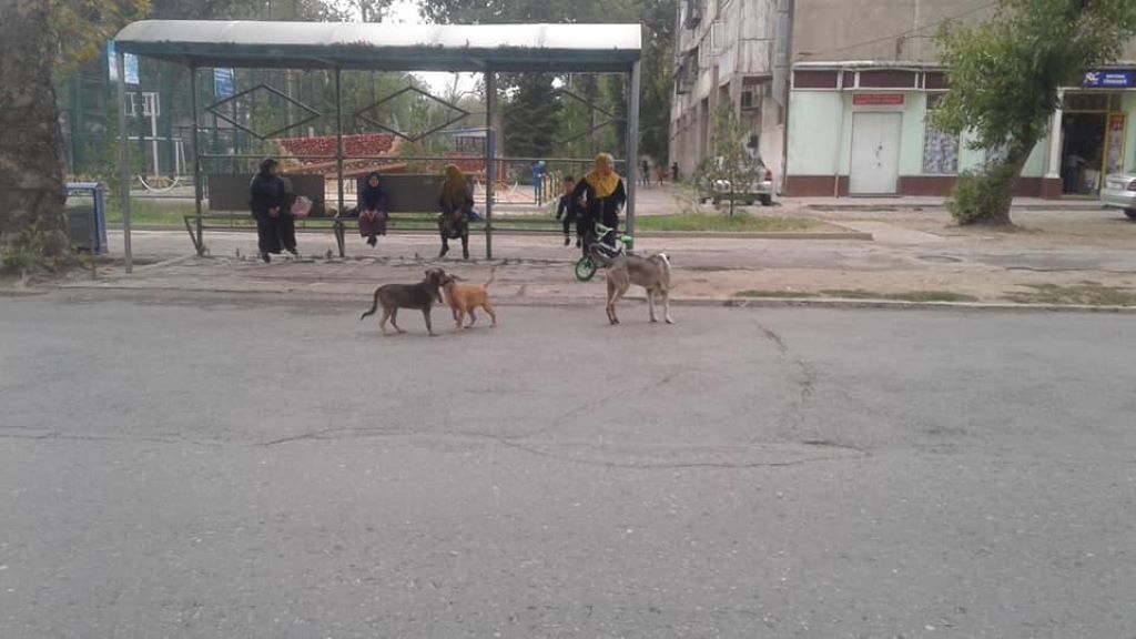 photo_2026-01-26_14-10-47