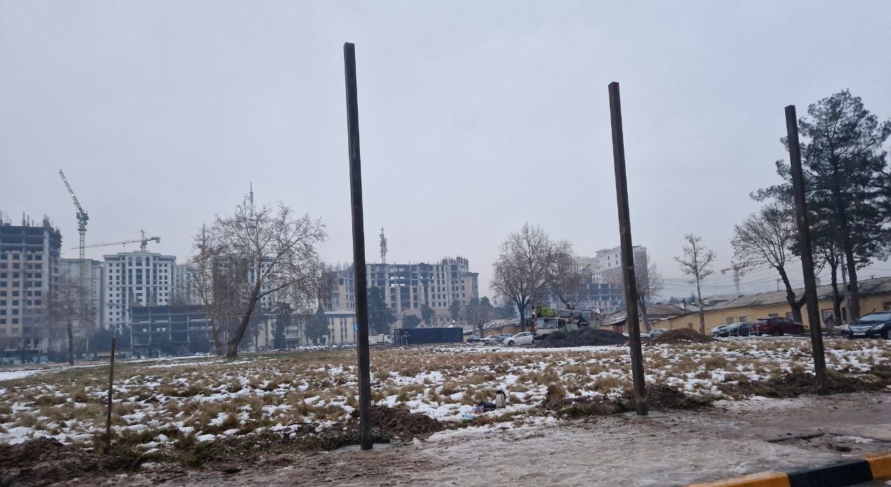 photo_2026-01-29_12-23-58