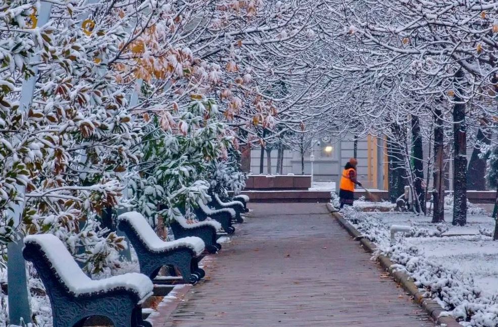 Салом Дидор