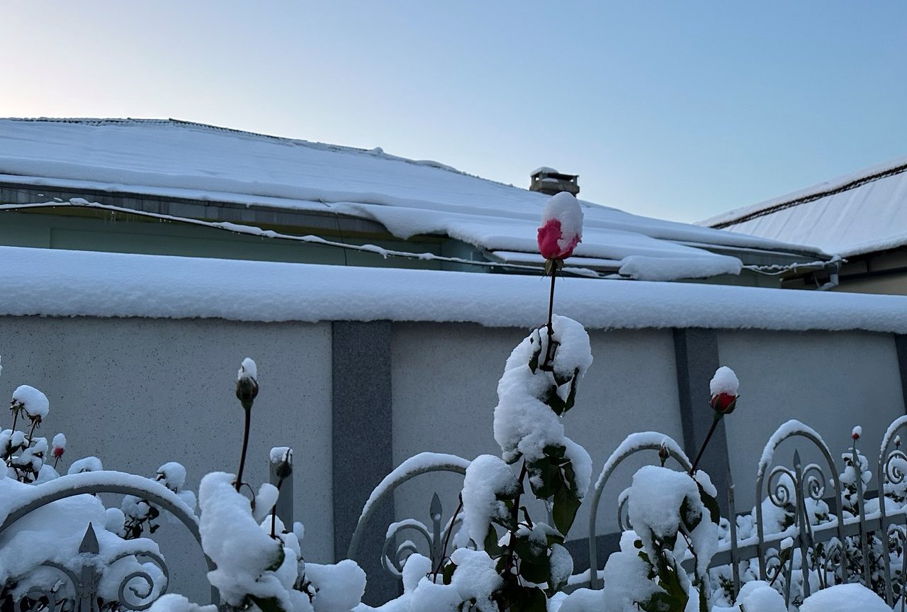 Салом23 Салом23