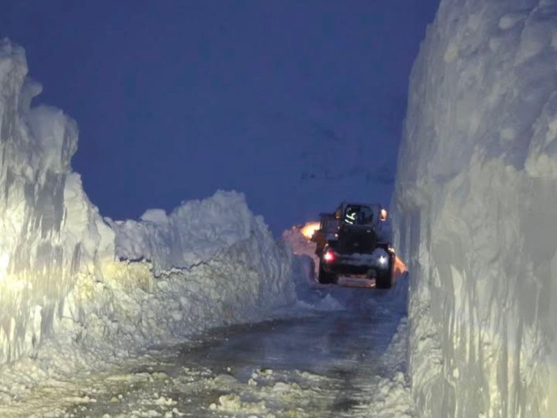 photo_2026-02-03_09-00-15