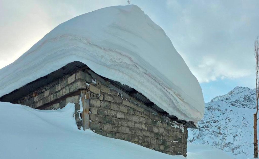 photo_2026-02-04_16-06-56 photo_2026-02-04_16-06-56