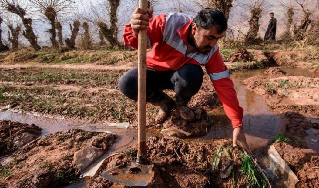 photo_2026-02-11_09-08-14 photo_2026-02-11_09-08-14