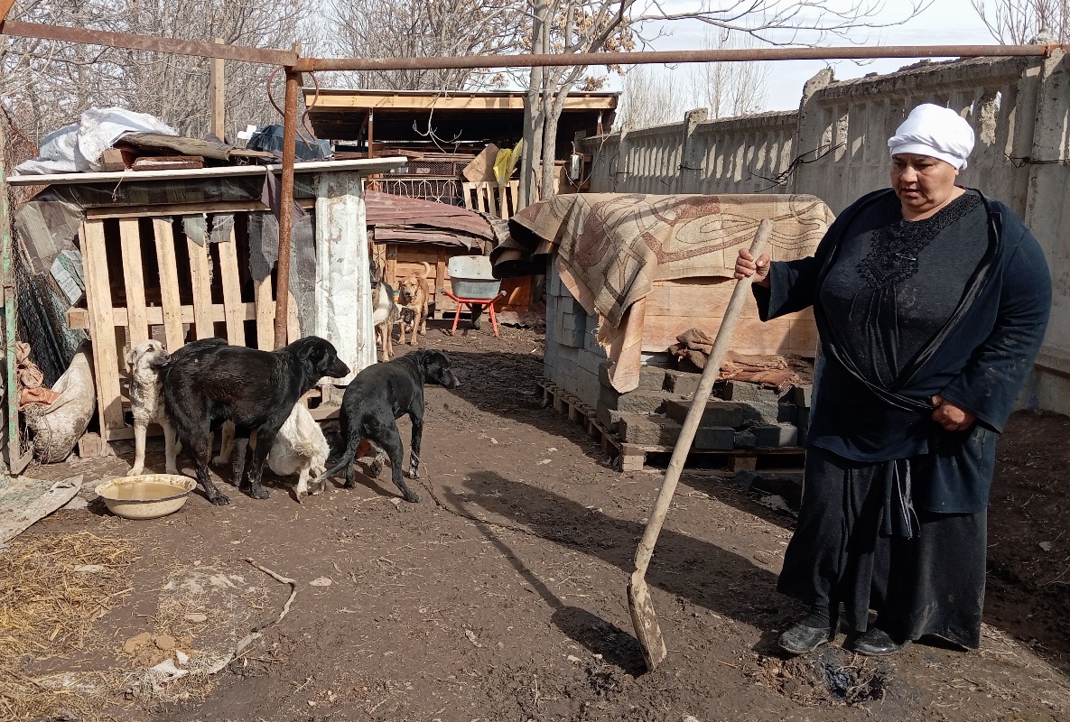 Приют глав Приют глав